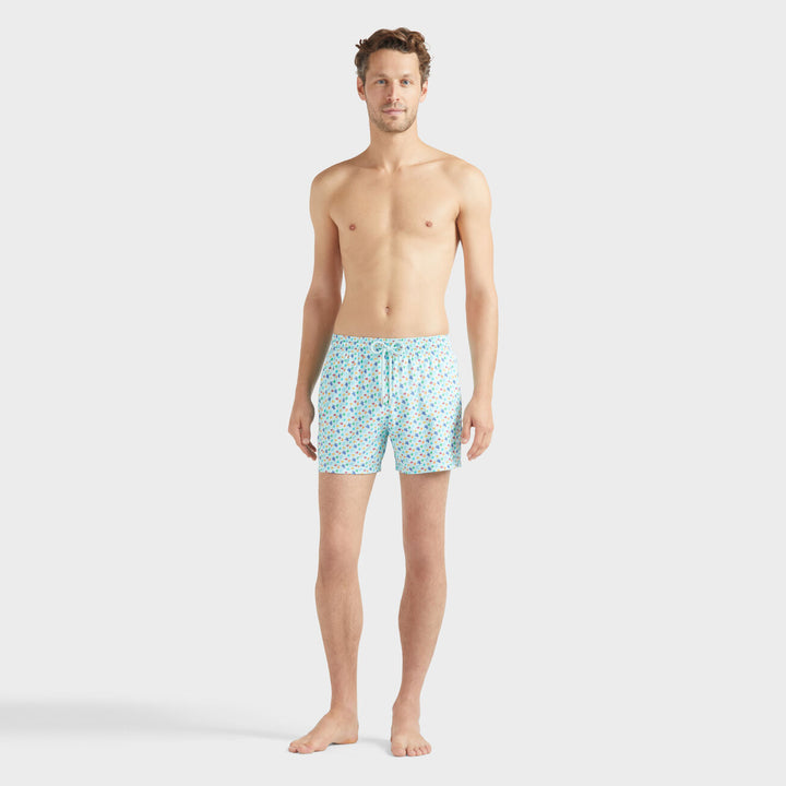 Vilebrequin Stretch Short Swim Shorts Micro Ronde Des Tortues Rainbow/Kupaće MSOCF139