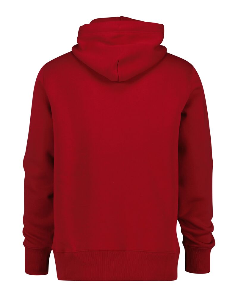 GANT Graphic Hoodie/Pulover 2044004