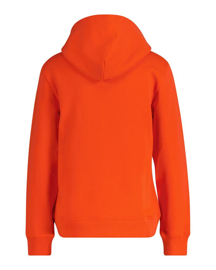 GANT Reg Graphic Hoodie/Duks 4200562