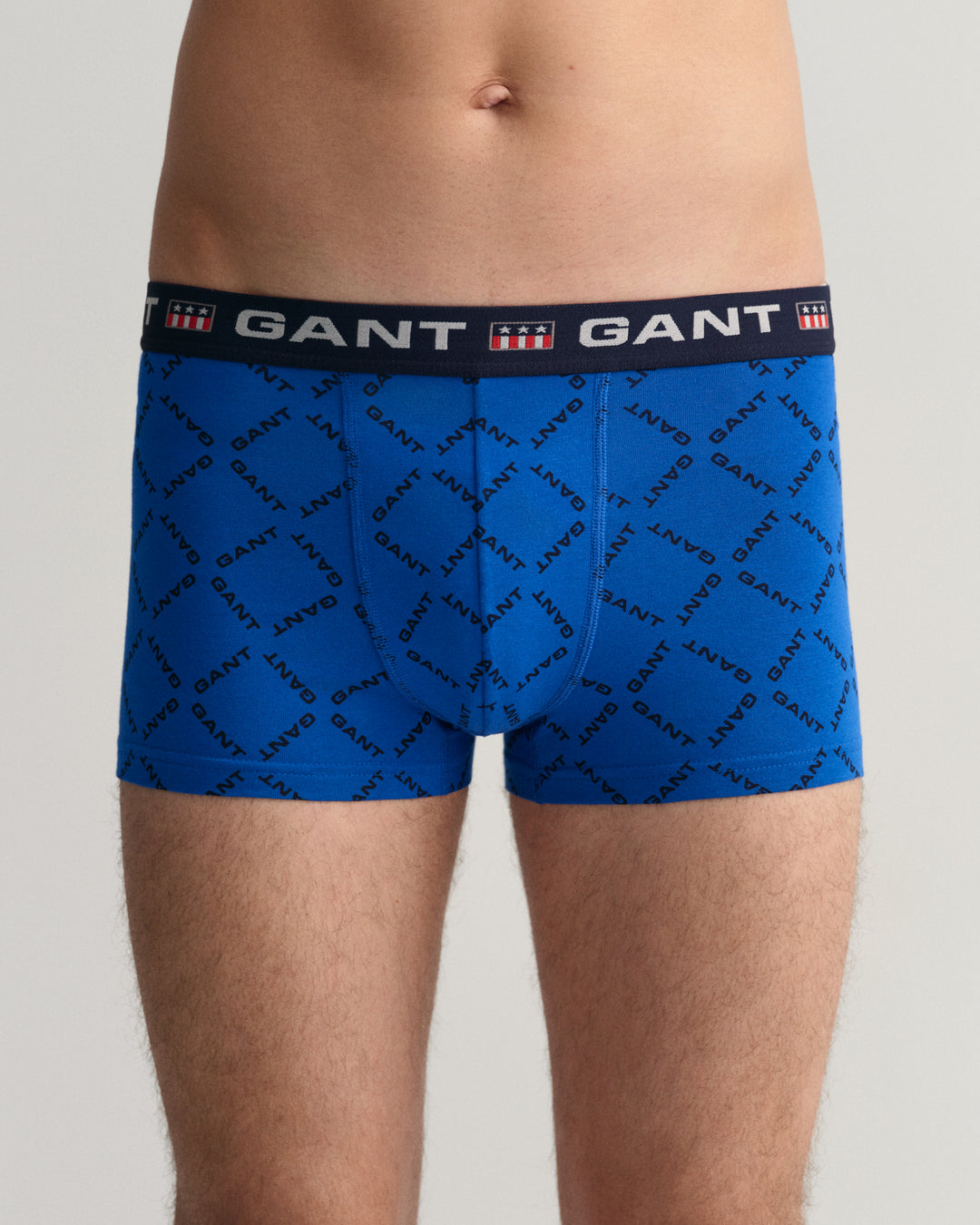 GANT Gant Print Trunk 3-Pack/Donje Rublje 3/1 902313033