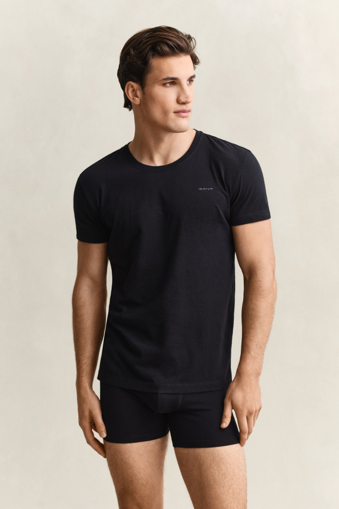 GANT 2-Pack Crew Neck T-Shirts/Donje majice 900012008