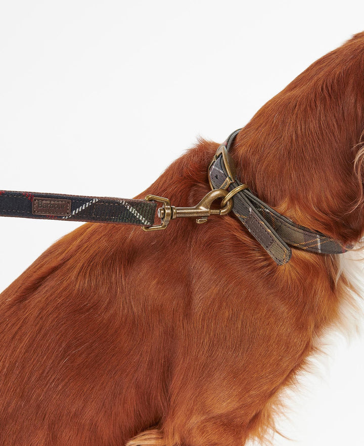 Barbour Tartan Dog Lead/ DAC0009