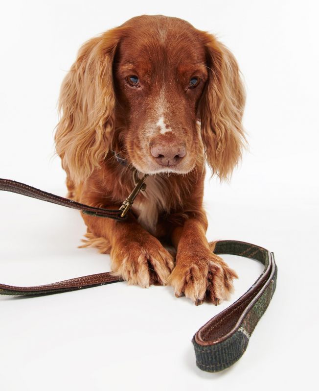 Barbour Tartan Dog Lead/ DAC0009