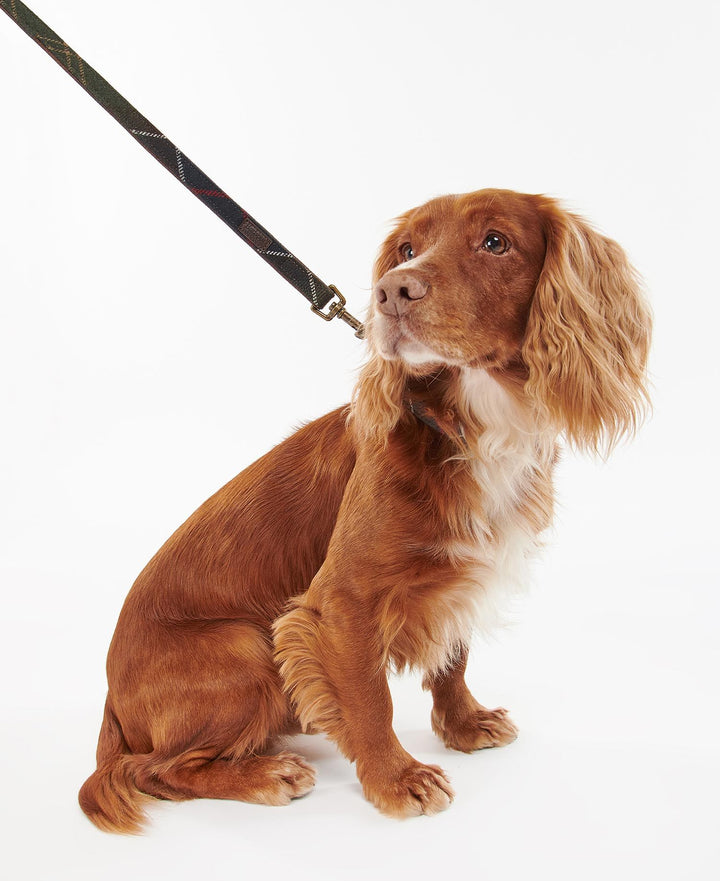 Barbour Tartan Dog Lead/ DAC0009