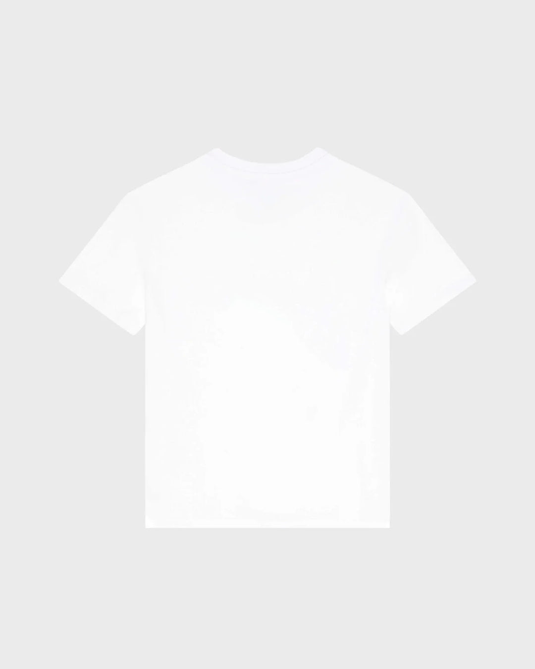 Vilebrequin Boys Organic Cotton T-shirt Big Turtle Print /Dječja majica GAIEM136