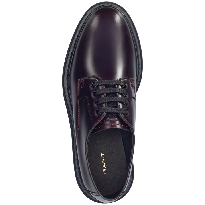 GANT Ivyhill/ Cipele 31531063