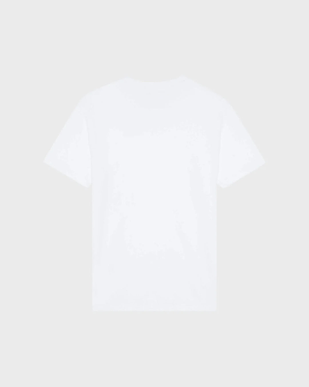 Vilebrequin Organic Cotton T-shirt Big Turtle Embroidery/Majica PSLCM919