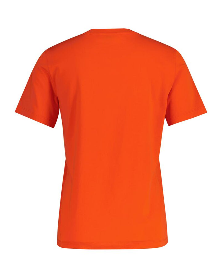 GANT Reg Graphic Ss T-Shirt/Majica 4200563