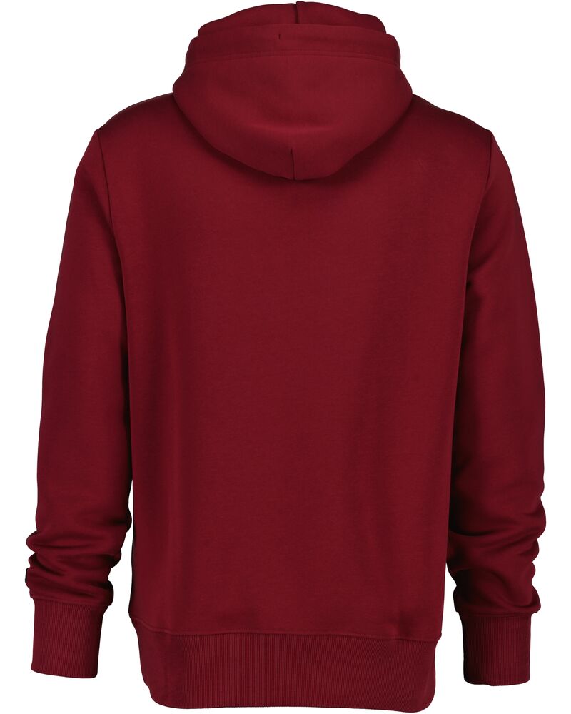 GANT Graphic Hoodie/Duks 2067061