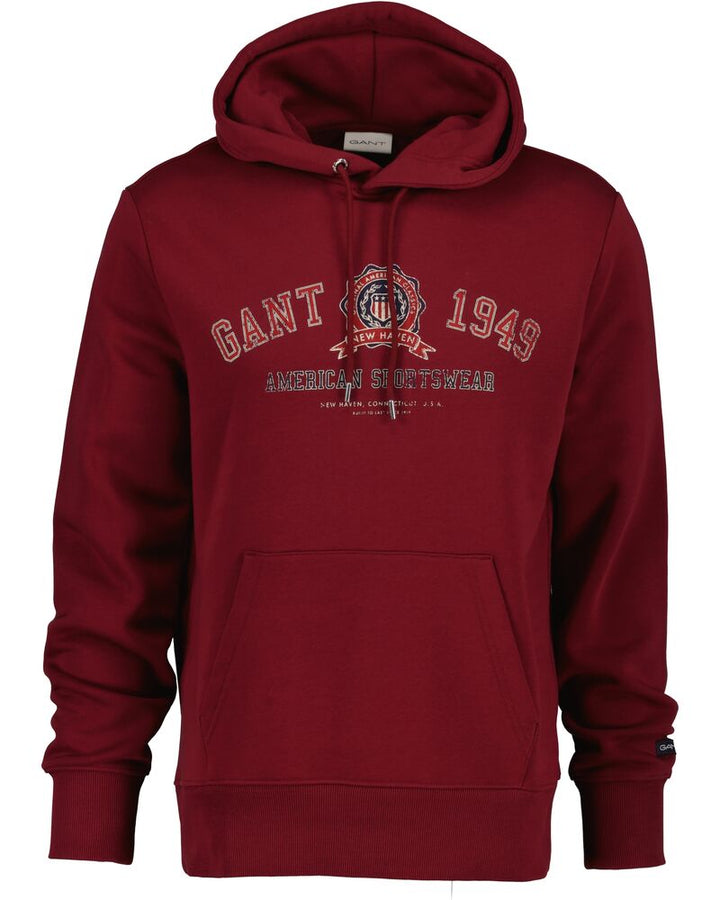GANT Graphic Hoodie/Duks 2067061