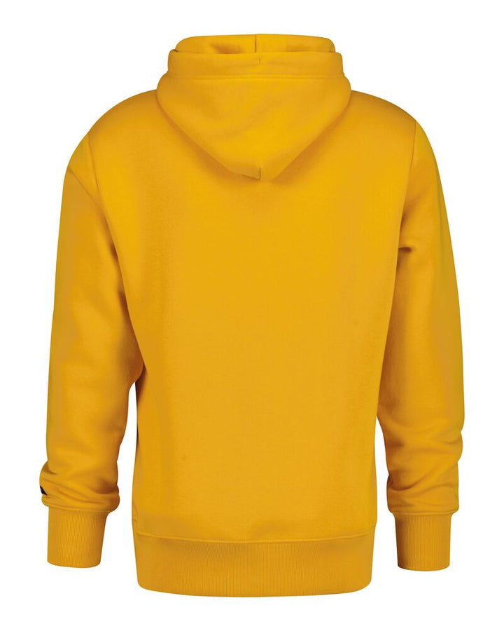 GANT Graphic Hoodie/Duks 2067061