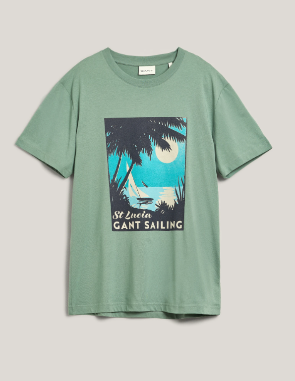 GANT Placed Graphic T-Shirt/Majica 2003321
