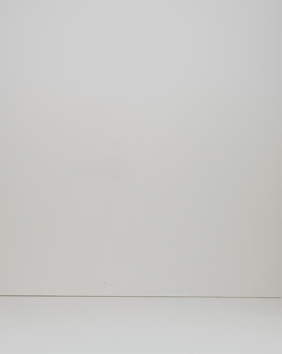 LRL Micro-Sanded Belted Wide-Leg Trouser/Hlače 200876606004