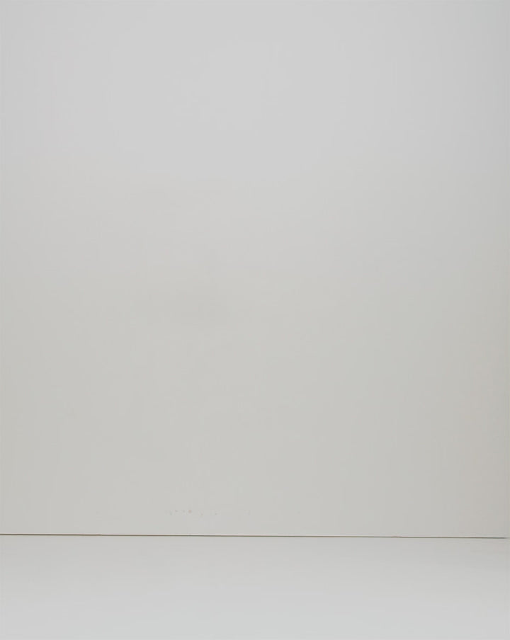 LRL Micro-Sanded Belted Wide-Leg Trouser/Hlače 200876606004