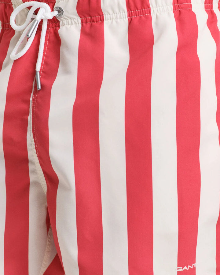 GANT Block Stripe Swim Shorts/Kupaće 922516006