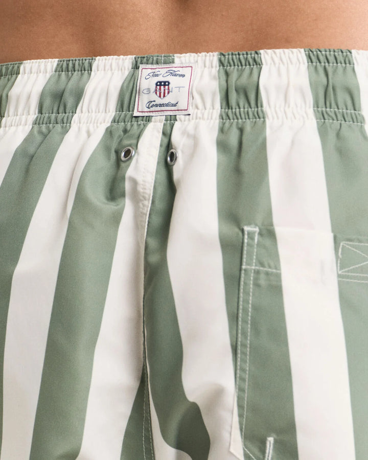 GANT Block Stripe Swim Shorts/Kupaće 922516006