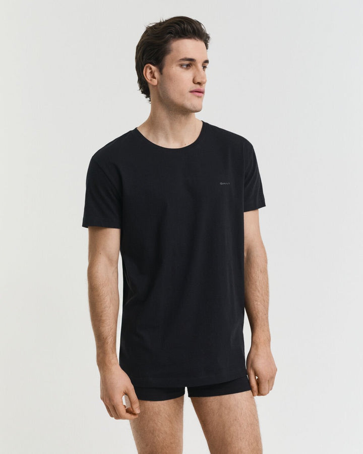 GANT 2-Pack Crew Neck T-Shirts/Donje majice 900012008