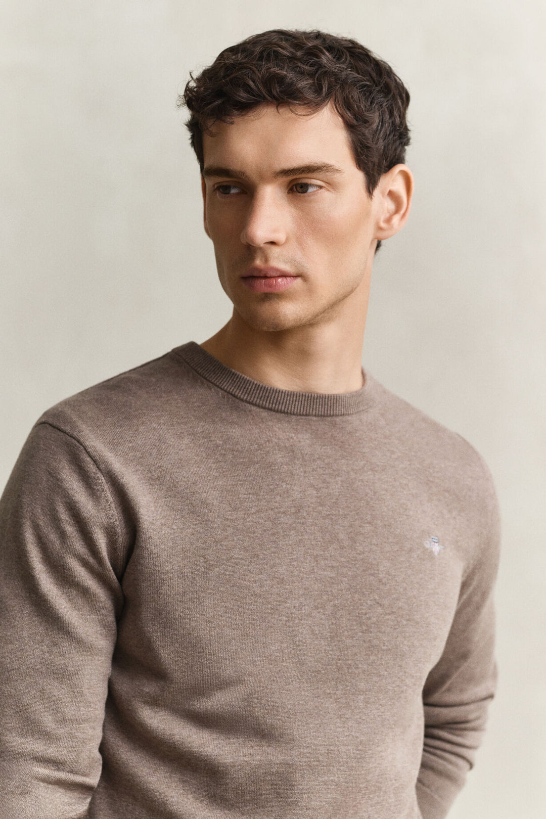 GANT Cotton Sweater/Pulover 8030761