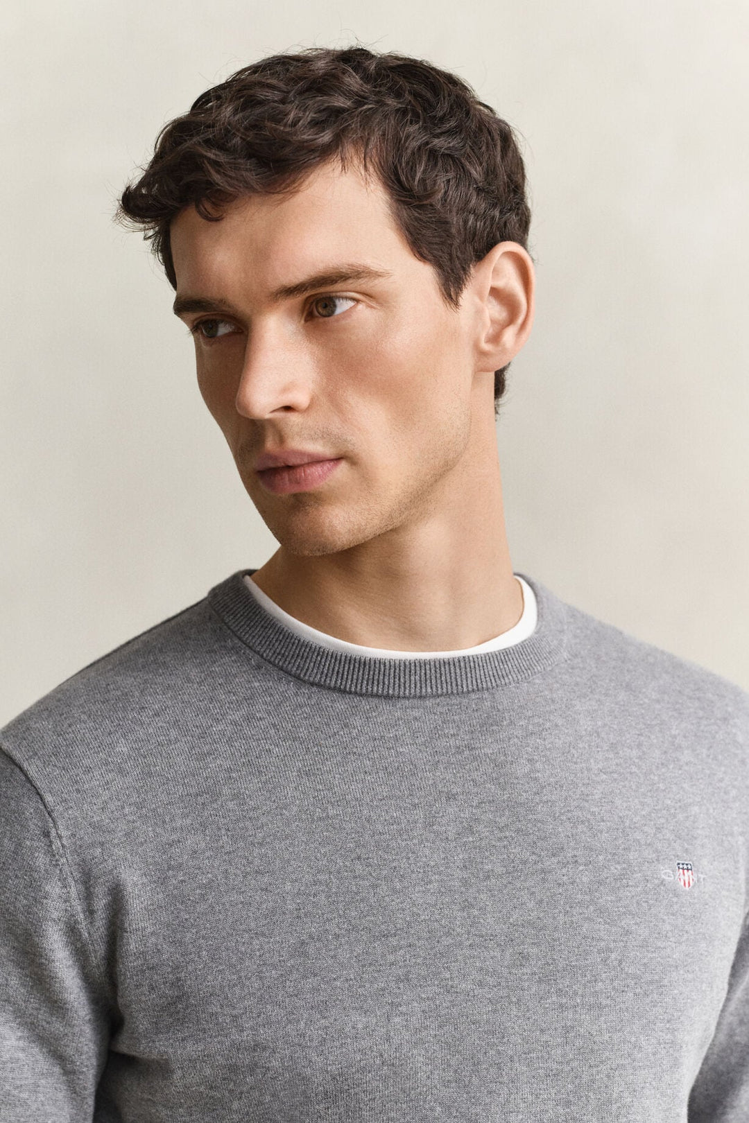 GANT Cotton Crew Neck Sweater/Pulover 8030761